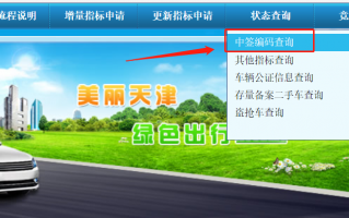 小客车指标摇号结果查询，天津市小客车指标摇号结果查询
