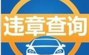 查车辆违章，查车辆违章非本人